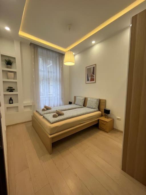 Szechenyi Renovated 2Br At Danube River Budapest Eksteriør billede